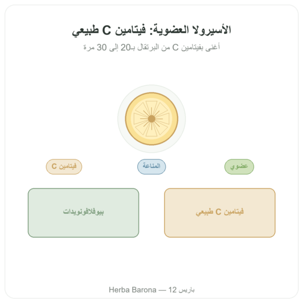 أسيرولا عضوية – 60 كبسولة – 500 ملغ – Dynveo عرض المنتج Paris Herba Barona