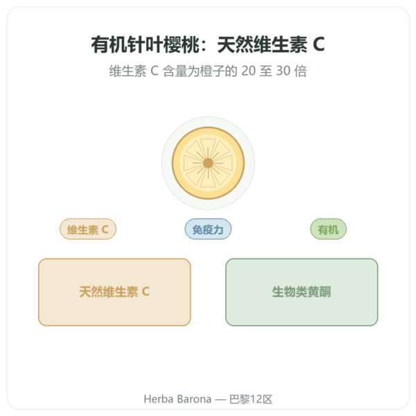 有机针叶樱桃 – 60粒胶囊 – 500 mg – Dynveo 产品展示 Paris Herba Barona