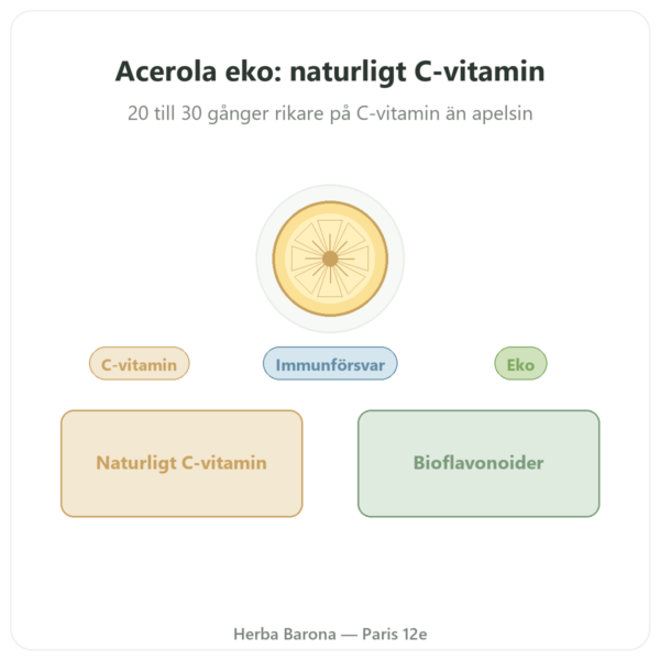 Acerola EKO – 60 kapslar – 500 mg – Dynveo presentation Paris Herba Barona