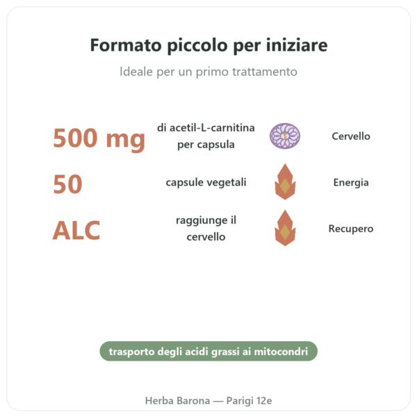 Acetil-L-Carnitina 500 mg – NOW Foods – 50 Capsule Vegetali benefici e dati chiave Paris Herba Barona