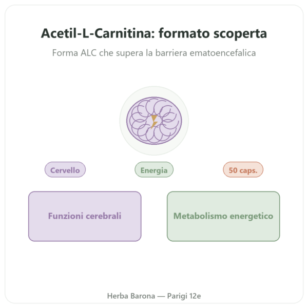 Acetil-L-Carnitina 500 mg – NOW Foods – 50 Capsule Vegetali presentazione Paris Herba Barona