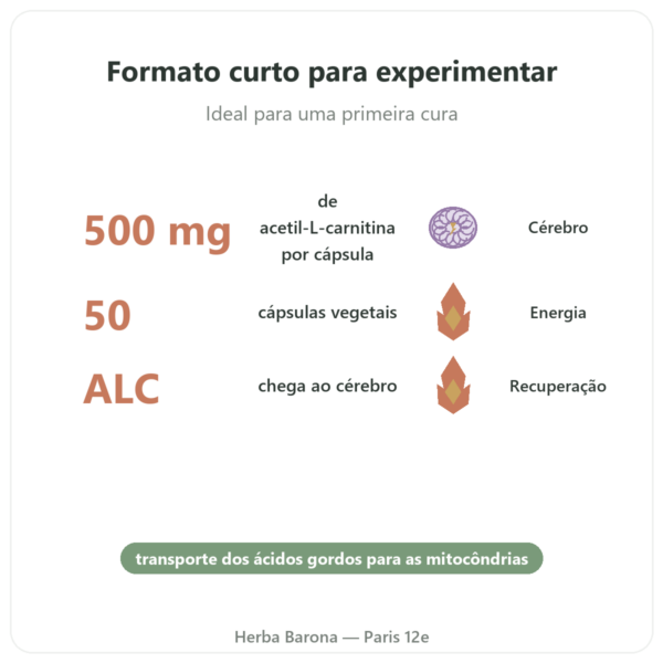 Acetil-L-Carnitina 500 mg – Now Foods – 50 cápsulas vegetais benefícios e dados principais Paris Herba Barona