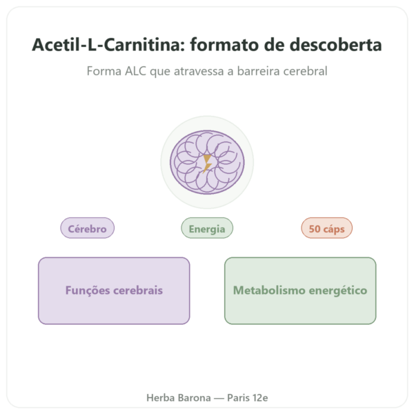 Acetil-L-Carnitina 500 mg – Now Foods – 50 cápsulas vegetais apresentação Paris Herba Barona