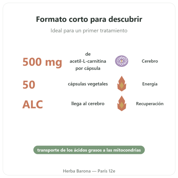 Acetil-L-Carnitina 500 mg – NOW Foods – 50 Cápsulas Vegetales beneficios y datos clave Paris Herba Barona