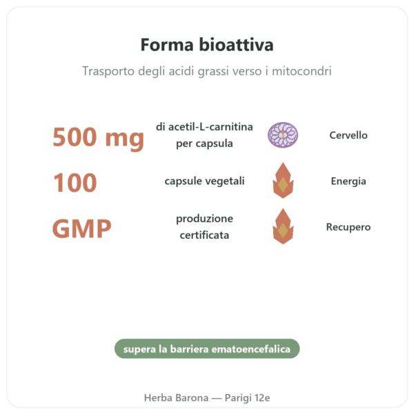 Acetil-L-Carnitina 500 mg – NOW Foods – 100 Capsule Vegetali benefici e dati chiave Paris Herba Barona