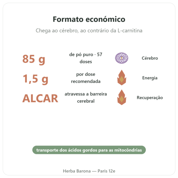 Acetil-L-Carnitina em Pó Pura – 85g – Now Foods benefícios e dados principais Paris Herba Barona