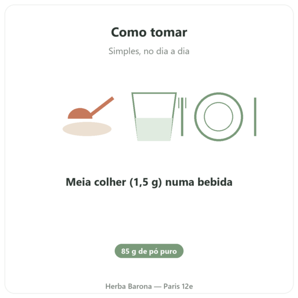 Acetil-L-Carnitina em Pó Pura – 85g – Now Foods modo de uso e dosagem Paris Herba Barona