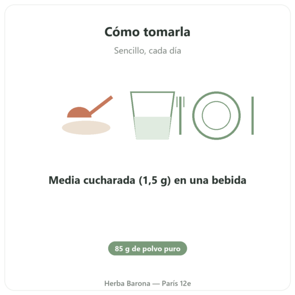 Acetil-L-Carnitina en Polvo Puro – 85 g – Now Foods modo de empleo y dosis Paris Herba Barona