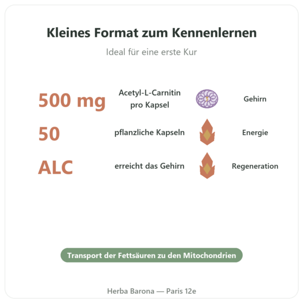 Acetyl-L-Carnitin 500 mg – Now Foods – 50 pflanzliche Kapseln Vorteile und Fakten Paris Herba Barona