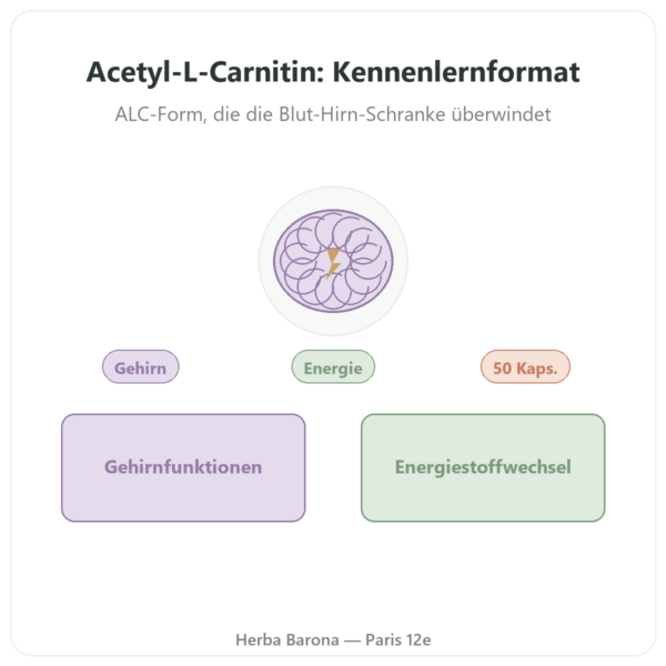 Acetyl-L-Carnitin 500 mg – Now Foods – 50 pflanzliche Kapseln Vorstellung Paris Herba Barona