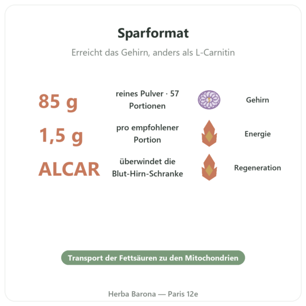 Acetyl-L-Carnitin Pulver Pur – 85 g – Now Foods Vorteile und Fakten Paris Herba Barona