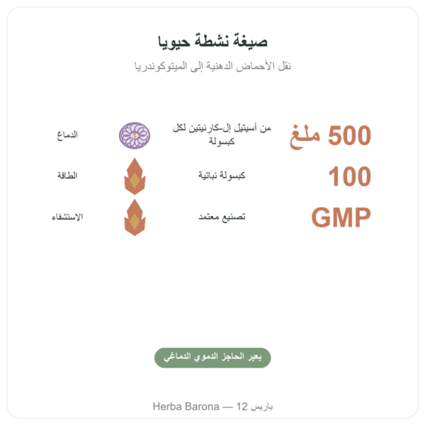 أسيتيل-إل-كارنيتين 500 mg – NOW Foods – 100 كبسولة نباتية الفوائد والمعطيات الرئيسية Paris Herba Barona
