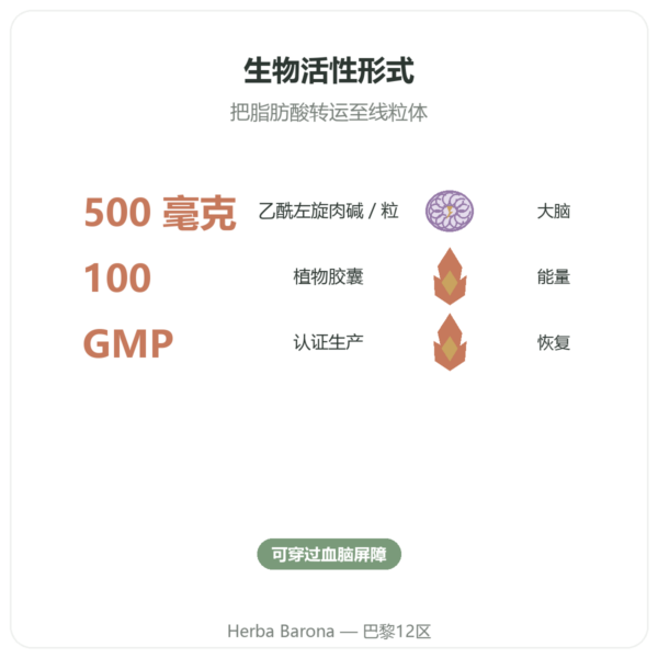 乙酰左旋肉碱 500 mg — NOW Foods — 100 粒植物胶囊 功效与数据 Paris Herba Barona