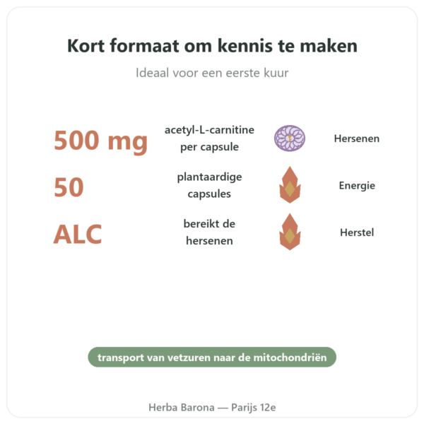 Acetyl-L-Carnitine 500 mg – NOW Foods – 50 plantaardige capsules voordelen en kerngegevens Paris Herba Barona
