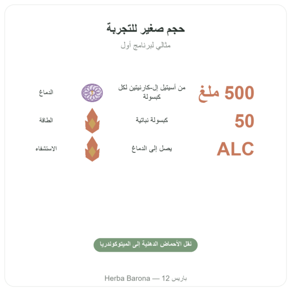 أسيتيل-إل-كارنيتين 500 ملغ – NOW Foods – 50 كبسولة نباتية الفوائد والمعطيات الرئيسية Paris Herba Barona