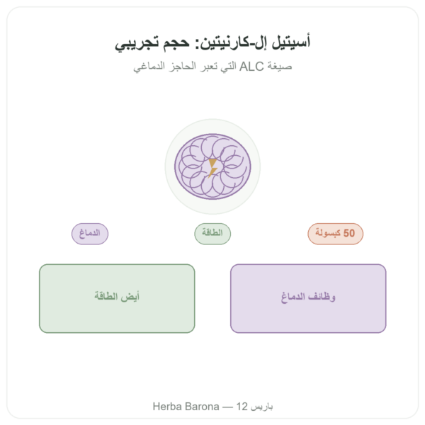 أسيتيل-إل-كارنيتين 500 ملغ – NOW Foods – 50 كبسولة نباتية عرض المنتج Paris Herba Barona