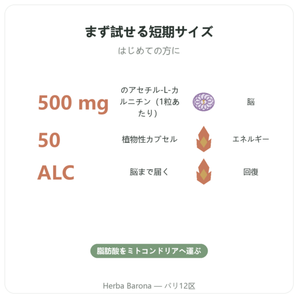 アセチル-L-カルニチン 500 mg – NOW Foods – 植物性カプセル50粒 benefits and key facts Paris Herba Barona