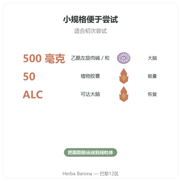 乙酰左旋肉碱 500毫克 – NOW Foods – 50粒植物胶囊 功效与数据 Paris Herba Barona
