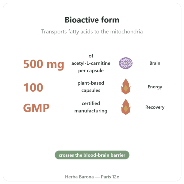 Acetyl-L-Carnitine 500mg – NOW Foods – 100 vegetable capsules benefits and key facts Paris Herba Barona