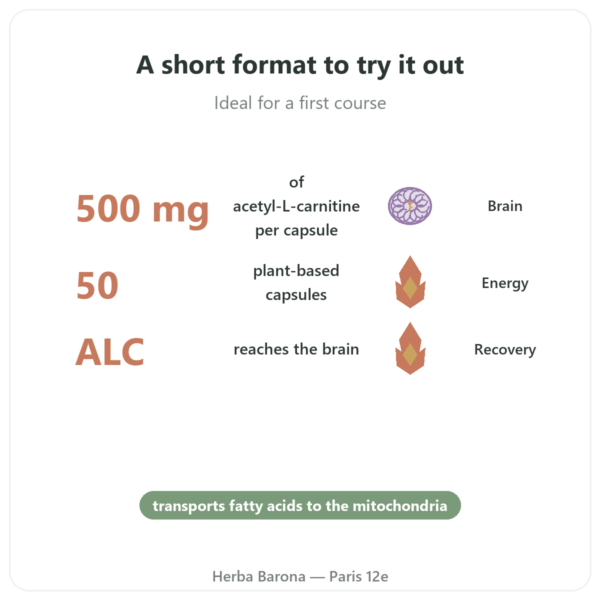 Acetyl-L-Carnitine 500 mg – Now Foods – 50 Vegetable Capsules benefits and key facts Paris Herba Barona