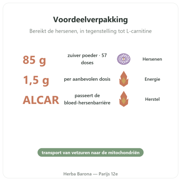 Acetyl-L-Carnitine Zuivere Poeder – 85g – Now Foods voordelen en kerngegevens Paris Herba Barona