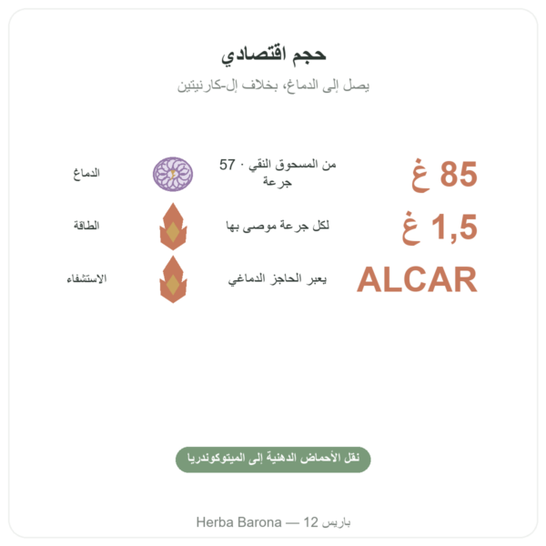 أسيتيل-إل-كارنيتين مسحوق نقي – 85 غ – Now Foods الفوائد والمعطيات الرئيسية Paris Herba Barona