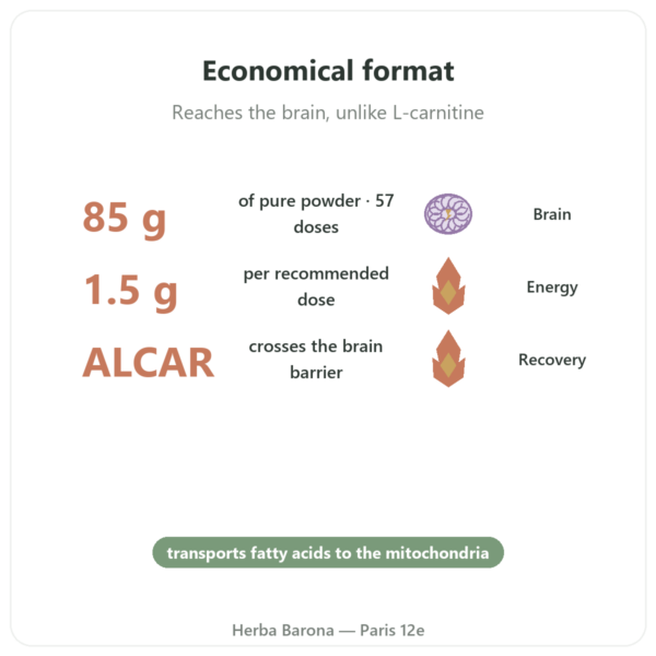 Acetyl-L-Carnitine Pure Powder - 85g - Now Foods benefits and key facts Paris Herba Barona