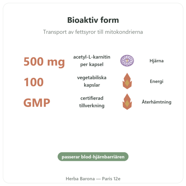 Acetyl-L-Karnitin 500 mg – NOW Foods – 100 vegetabiliska kapslar fördelar och nyckelfakta Paris Herba Barona