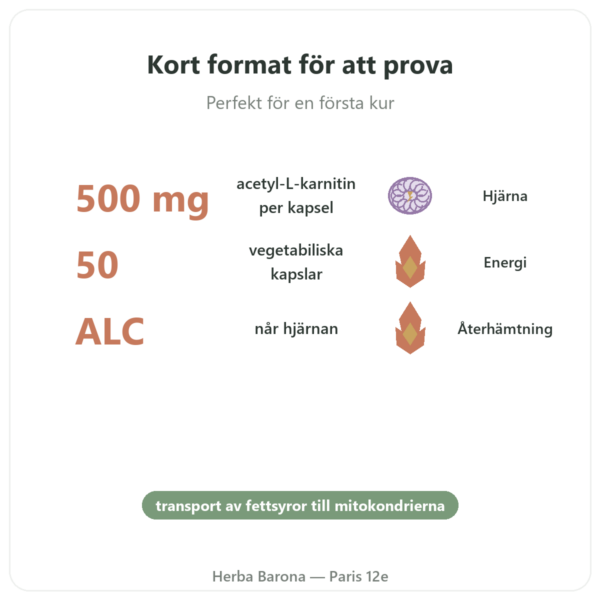 Acetyl-L-Karnitin 500 mg – NOW Foods – 50 vegetabiliska kapslar fördelar och nyckelfakta Paris Herba Barona