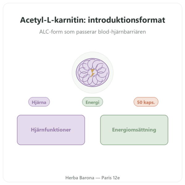 Acetyl-L-Karnitin 500 mg – NOW Foods – 50 vegetabiliska kapslar presentation Paris Herba Barona