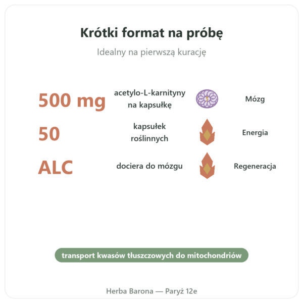 Acetylo-L-Karnityna 500 mg – NOW Foods – 50 kapsułek roślinnych korzyści i najważniejsze fakty Paris Herba Barona