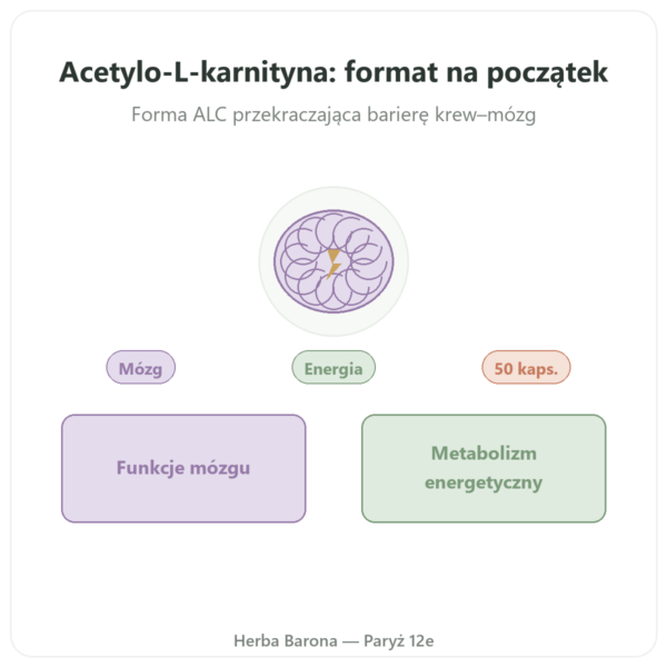 Acetylo-L-Karnityna 500 mg – NOW Foods – 50 kapsułek roślinnych prezentacja Paris Herba Barona