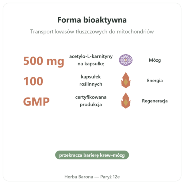 Acetylo-L-Karnityna 500 mg - NOW Foods - 100 kapsulek roslinnych korzyści i najważniejsze fakty Paris Herba Barona