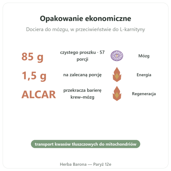 Acetylo-L-Karnityna Proszek Czysty – 85g – Now Foods korzyści i najważniejsze fakty Paris Herba Barona