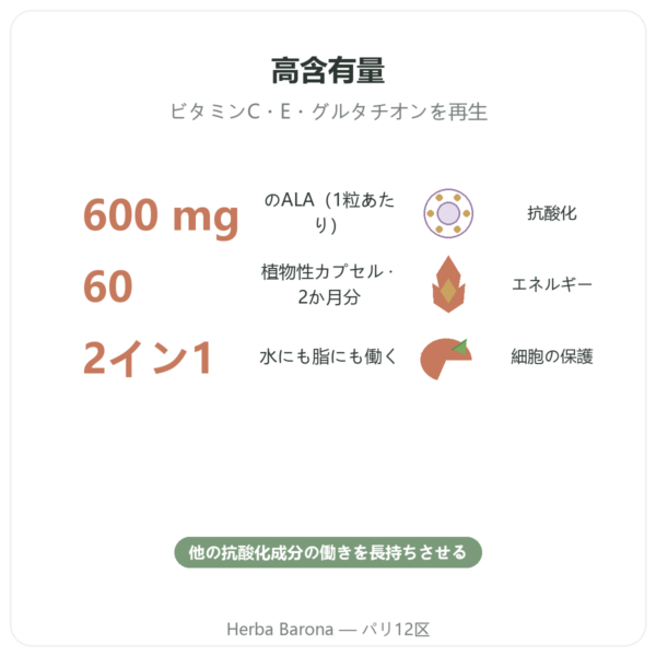 アルファリポ酸 600 mg 60カプセル Doctor’s Best benefits and key facts Paris Herba Barona