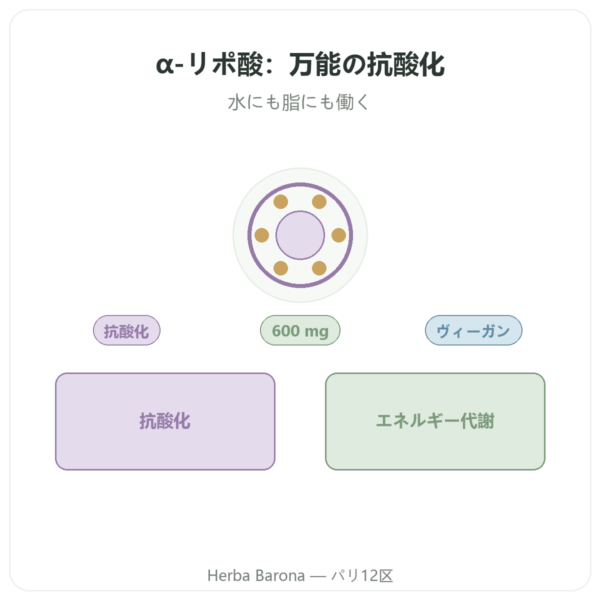 アルファリポ酸 600 mg 60カプセル Doctor’s Best presentation Paris Herba Barona