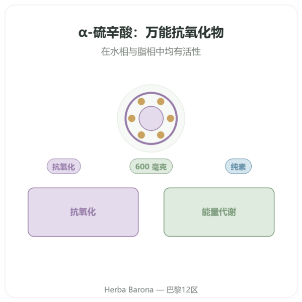 α-硫辛酸 600 mg 60 粒 Doctor's Best 产品展示 Paris Herba Barona