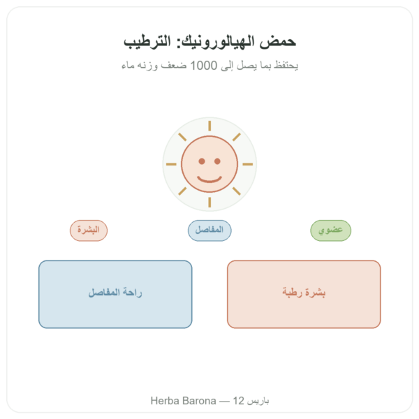 حمض الهيالورونيك العضوي – Dynveo – 60 كبسولة عرض المنتج Paris Herba Barona