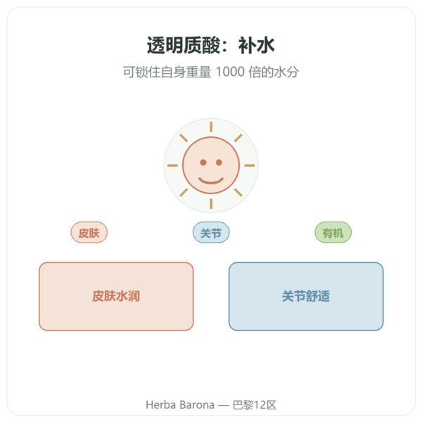 Dynveo 有机透明质酸 60 粒胶囊 产品展示 Paris Herba Barona