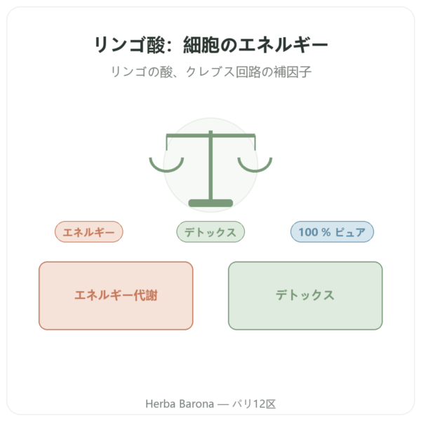 リンゴ酸パウダー 500 g Nature et Partage presentation Paris Herba Barona
