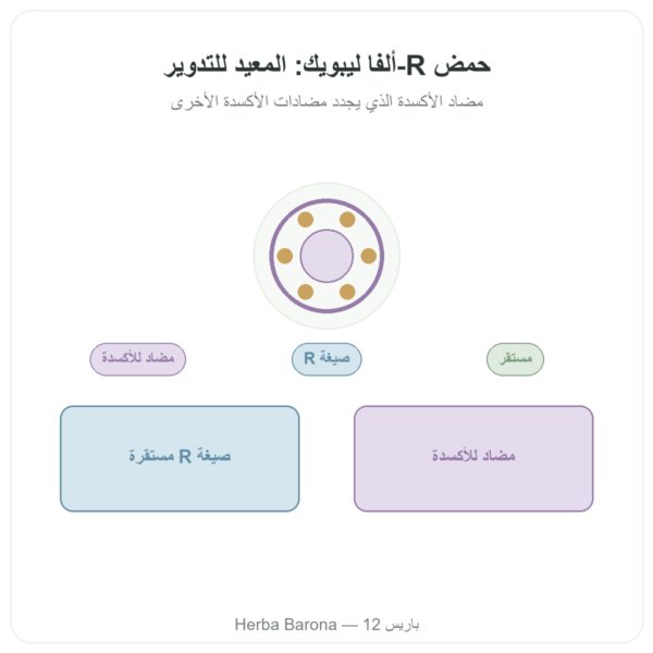 حمض R-ألفا-ليبويك – Dynveo – 100 mg – 60 كبسولة عرض المنتج Paris Herba Barona