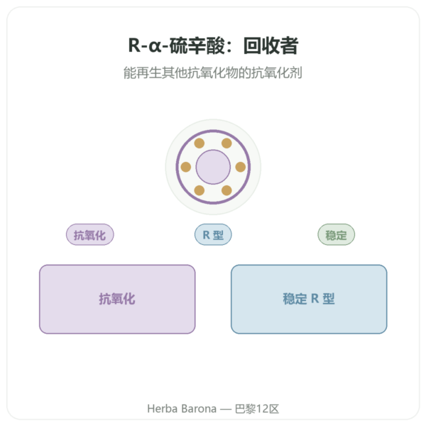 R-α-硫辛酸 100 mg – DYNVEO – 60 粒 产品展示 Paris Herba Barona