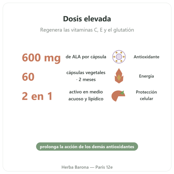 Ácido Alfa-lipoico 600 mg – 60 Cápsulas – Doctor's Best beneficios y datos clave Paris Herba Barona