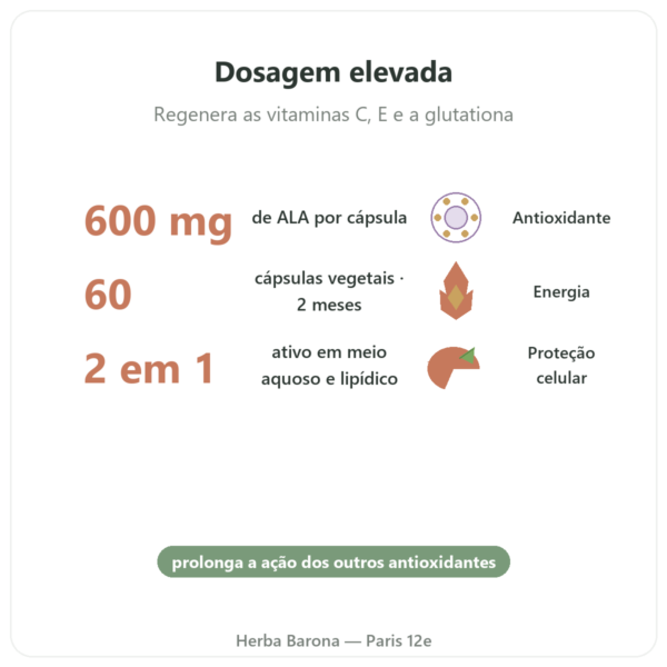 Ácido Alfa-lipoico 600 mg – 60 Cápsulas – Doctor's Best – Comprar benefícios e dados principais Paris Herba Barona