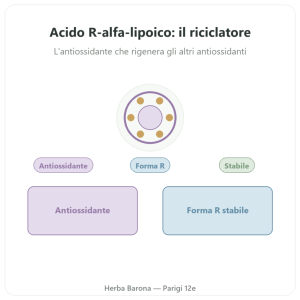 Acido R-Alfa-Lipoico 100 mg – DYNVEO – 60 capsule presentazione Paris Herba Barona