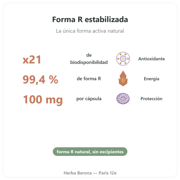Ácido R-alfa-lipoico 100 mg – Dynveo – 60 cápsulas beneficios y datos clave Paris Herba Barona