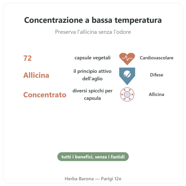 Aglio bio concentrato – Revit'Ail – 72 capsule – Vecteur Santé benefici e dati chiave Paris Herba Barona