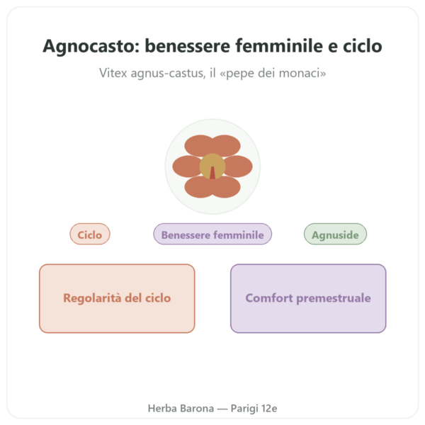 Agnocasto Estratto 250 mg – 0,6% Agnuside – 60 capsule presentazione Paris Herba Barona