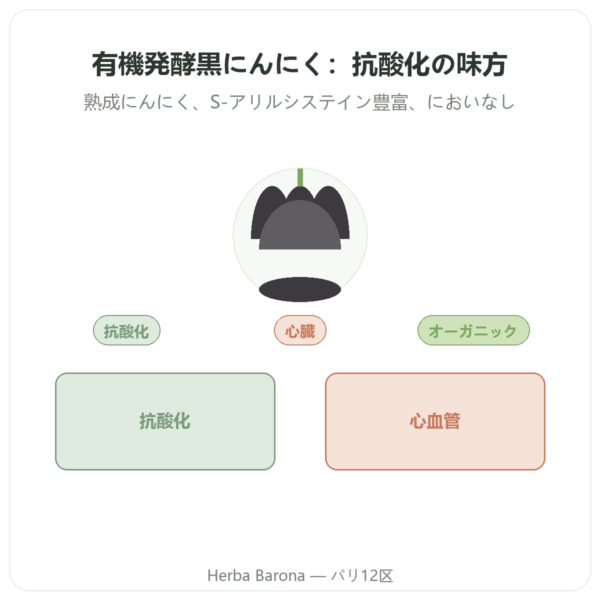 有機発酵黒にんにく – Dynveo – 60カプセル presentation Paris Herba Barona