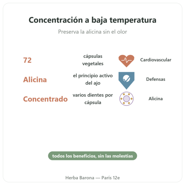 Ajo Bio Concentrado – Revit'Ail – 72 Cápsulas – Vecteur Santé beneficios y datos clave Paris Herba Barona